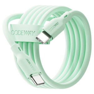 코드웨이 C타입-C타입 팔레트 100W PD 초고속 충전 케이블