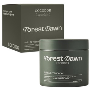코코도르 고체탈취제 숲속새벽공기, 300g, 1개