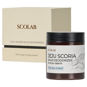 스코랩 제주 화산송이 생활탈취제 비자숲 본품, 250g, 1개