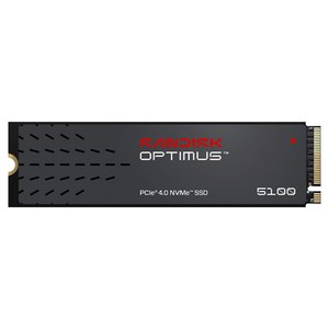 샌디스크 Optimus 5100 M.2 NVMe SSD