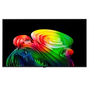 LG전자 4K UHD OLED evo AI TV