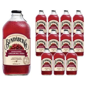 분다버그 버건디 크리밍 소다, 375ml, 12개