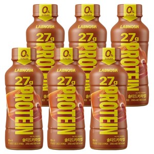 랩노쉬 프로틴 드링크 솔티드카라멜, 350ml, 6개