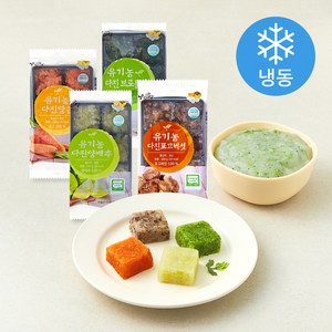 웰팜넷 유기가공식품 인증 다진채소 혼합 4종 세트 2호 (냉동), 390g, 1세트