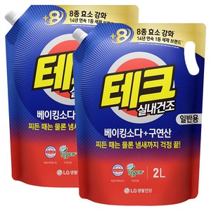 [비건라이프] 테크 베이킹소다 플러스 구연산 실내건조 액체세제 일반용 리필, 2L, 2개