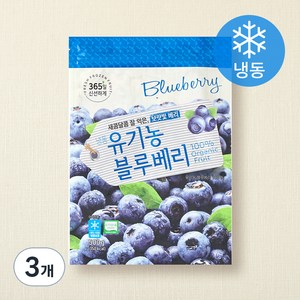 호재준 유기가공식품 인증 블루베리 (냉동), 500g, 3개