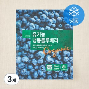 딜라잇가든 유기가공식품 인증 블루베리 (냉동), 500g, 3개