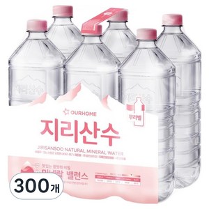아워홈 지리산수 무라벨, 2L, 300개