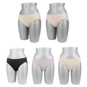 블루핀 여성용 실크터치 노라인 햄팬티 5종 세트