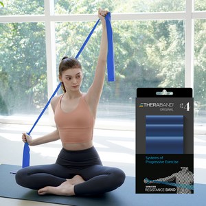 세라밴드 오리지널 탄성저항 밴드 4단계 + 운동포스터, 블루, 125 x 2000..., 1개