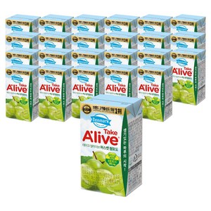 덴마크 테이크 얼라이브 머스캣 청포도 주스, 120ml, 24개