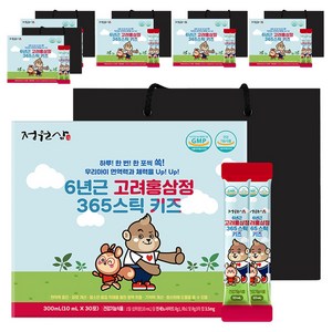 정원삼 6년근 고려홍삼정 365 스틱 키즈 30포 + 쇼핑백, 300ml, 6개