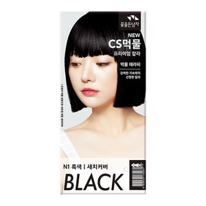 꽃을든남자 CS 먹물 헤어칼라 새치 커버용 염모제, N1흑색, 1개