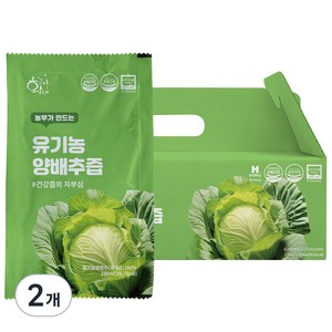 황금이네 농부가 만드는 양배추즙 100ml 30포, 3L, 2개