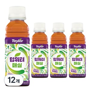 테일러 딥워터 매실, 180ml, 12개