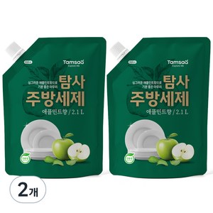 탐사 친환경 주방세제 애플민트향, 2.1L, 2개