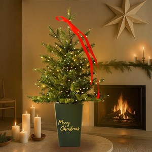 뷰티풀데코센스 PE 스탠다드 트리 + LED 세트