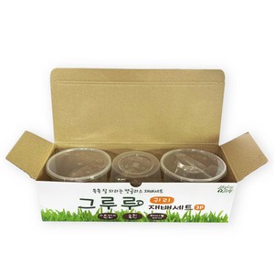 힐링타임 그루루 캣글라스 재배세트 3p, 귀리, 1세트
