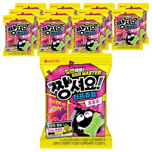 롯데웰푸드 짱셔요 터프츄잉 후르츠, 51g, 12개