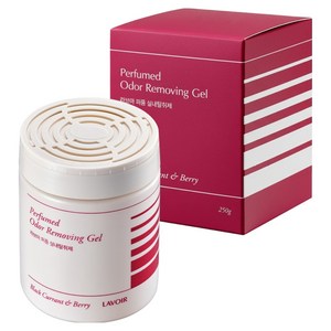 라브아 퍼퓸 실내탈취제 블랙커런트 앤 베리, 250g, 1개