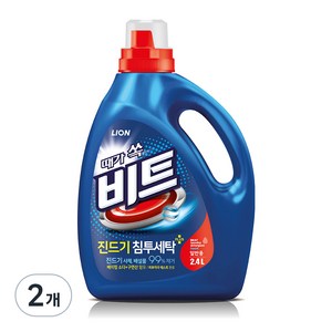 비트 진드기 침투세탁 일반용 액상세제 본품, 2.4L, 2개