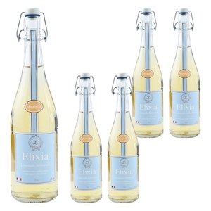 엘릭시아 자두맛 탄산음료, 750ml, 5개