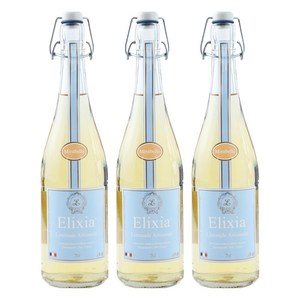 엘릭시아 자두맛 탄산음료, 750ml, 3개