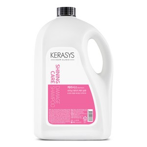 케라시스 샤이닝 데미지 샴푸, 4L, 1개