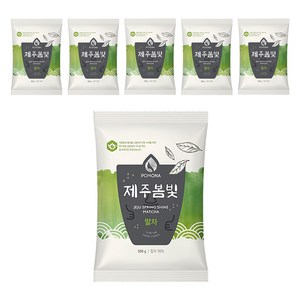 포모나 제주봄빛 말차 파우더