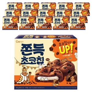 청우식품 쫀득초코칩, 240g, 16개