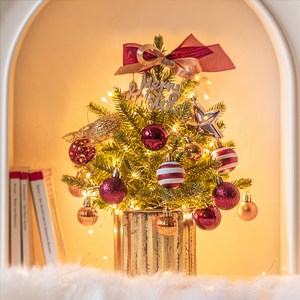 뷰티풀데코센스 쁘띠 틴트리 풀세트