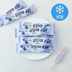 빙그레 요맘때바 블루베리 (냉동)
