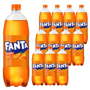 환타 오렌지 탄산음료, 1L, 12개