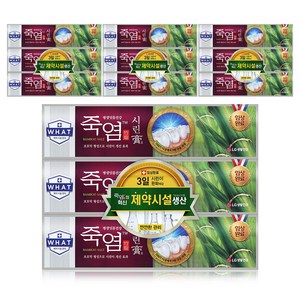 죽염 시린고 치약, 120g, 12개