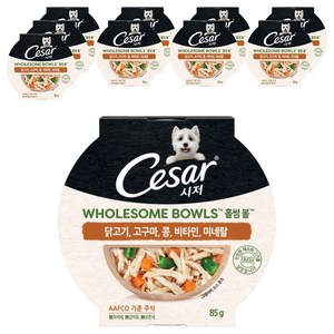 시저 1세 이상 강아지 홀썸볼 습식사료