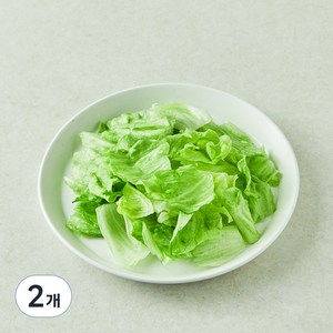 팜에이트 무농약 손질 양상추