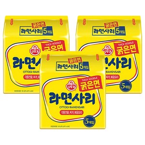 오뚜기 라면사리 굵은면 110g, 15개, (5개입 X 3팩)