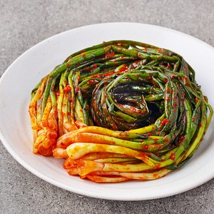 진경 파김치, 500g, 1개