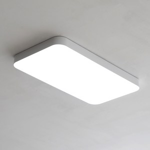 다보예 LED 심플 60W 거실등