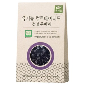 유가원 컬티베이티드 건블루베리, 160g, 1개