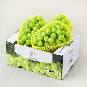 과일진심 샤인머스캣 2~4수, 2kg, 1개