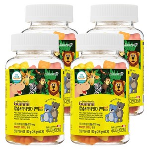 네추럴라이즈 칼슘 앤 비타민D 꾸미, 60정, 4개