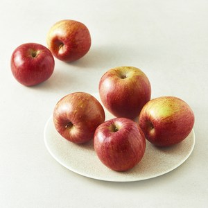 청년농부 당도선별 사과, 1.5kg(소과, ..., 1봉