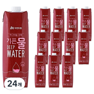 기픈물 자연드림 마그네슘 강화 종이팩 해양심층수, 1L, 24개