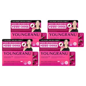 영라뉴 장용성 파비플로라 다이어트 프로, 14정, 4개