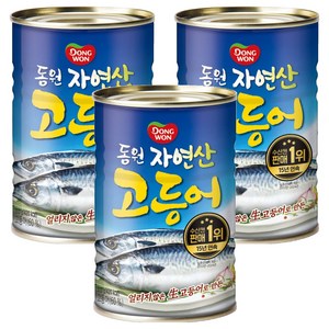 동원 고등어 통조림, 300g, 3개