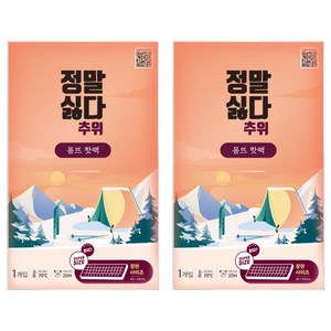 정말싫다 추위 장판 이불핫팩 1400g, 2개