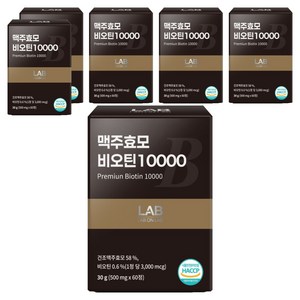 랩온랩 정품 맥주효모 비오틴 10000, 60정, 6개
