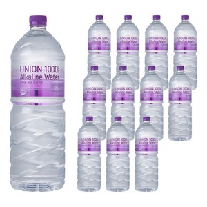 유니온천년알카리수, 2L, 12개