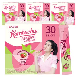 티젠 콤부차 스트로베리키위